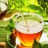 مضرات و فواید چای سبز