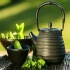 9 دلیل برای خوردن چای سبز
