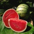مصرف هندوانه و پیشگیری از حمله قلبی